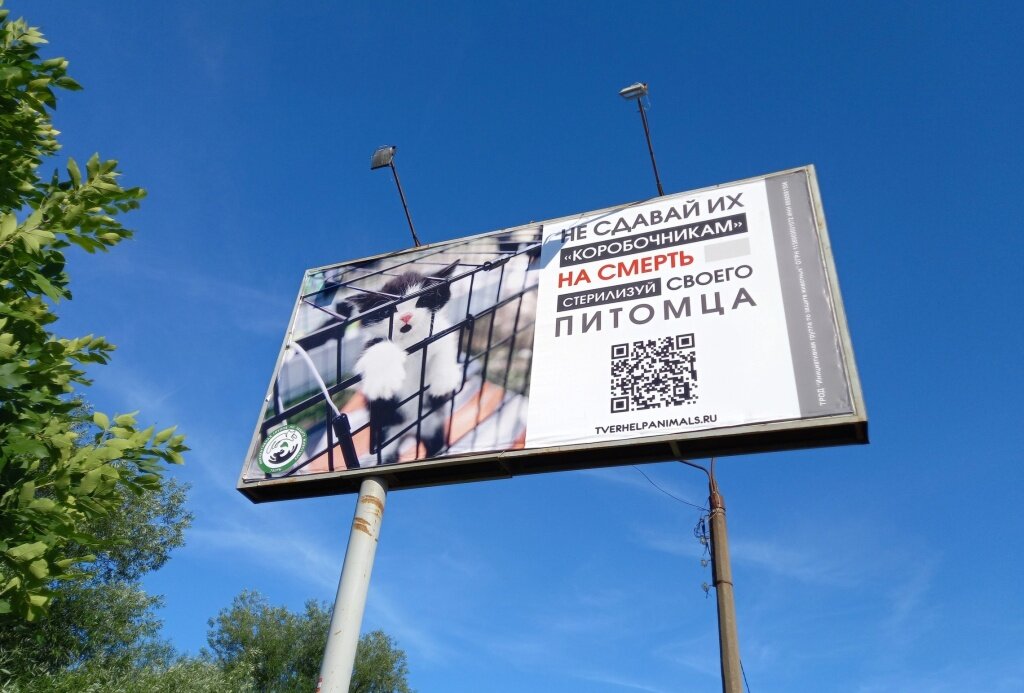 В Твери зоозащитники призывают не отдавать котят и щенят коробочникам!