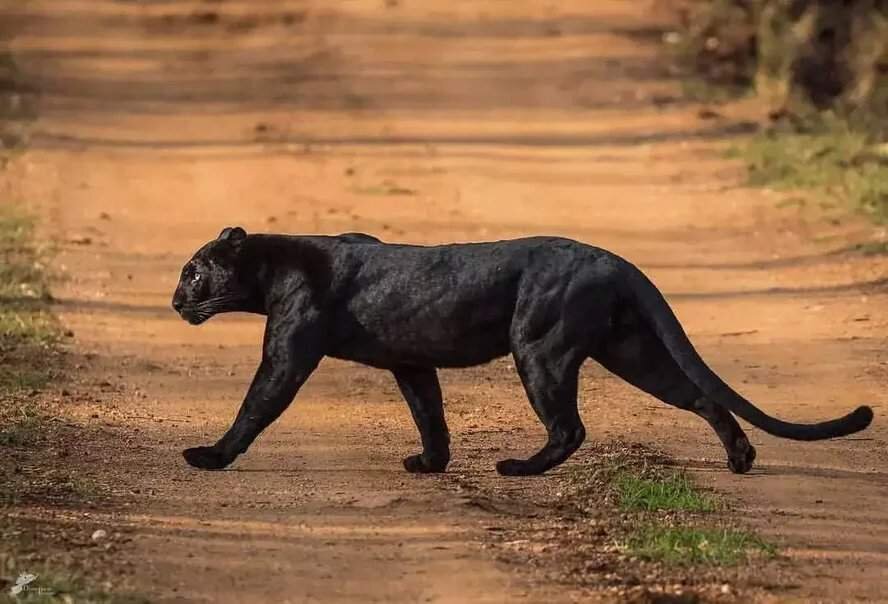Вы находитесь на канале, который разрушает стандартные стереотипы о спорте, возрасте и здоровье