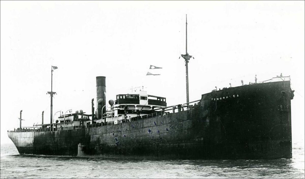 Источник фото: joinfo.com