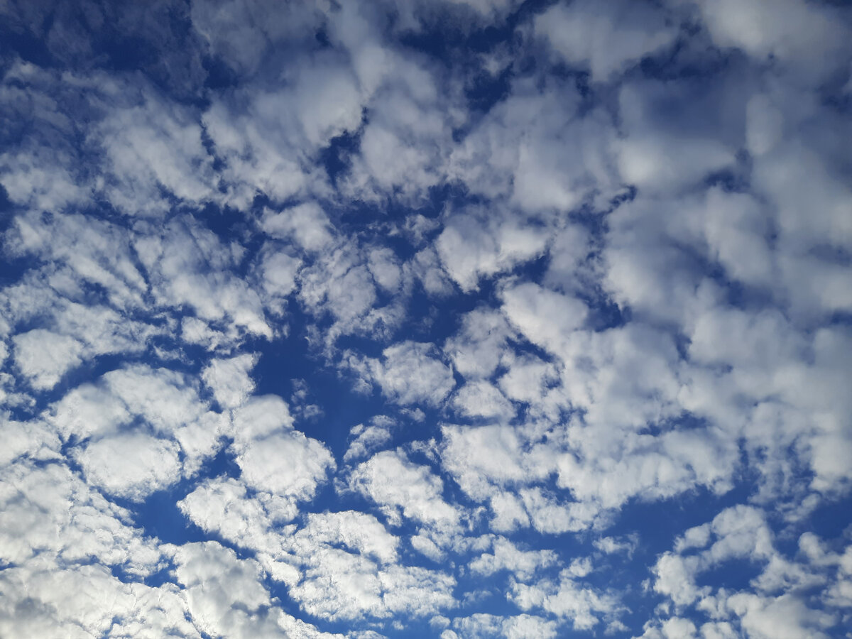 Из личных архивов