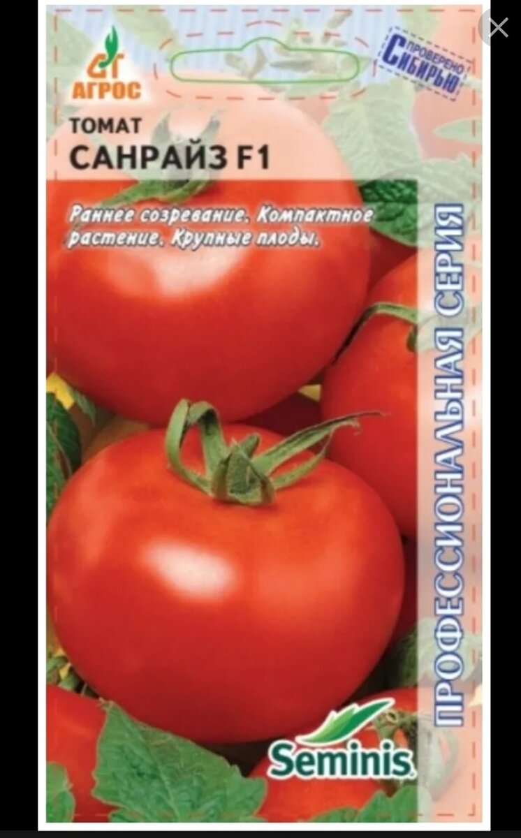 Томат Санрайз. Фото из открытых источников 