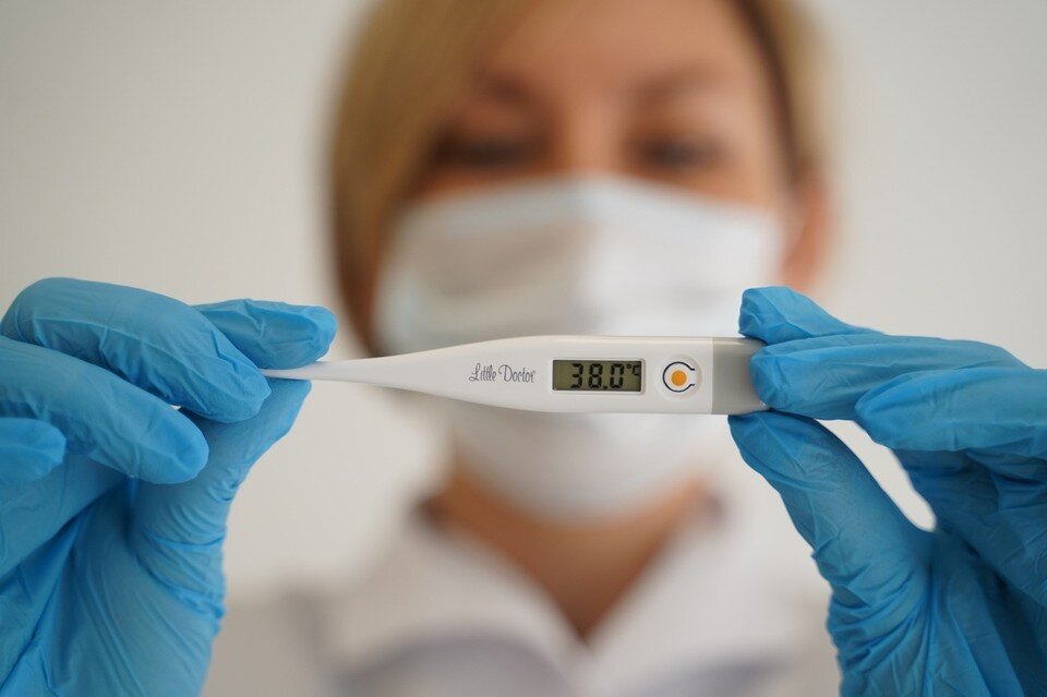     Фото Светланы Маковеевой  из архива «КП»