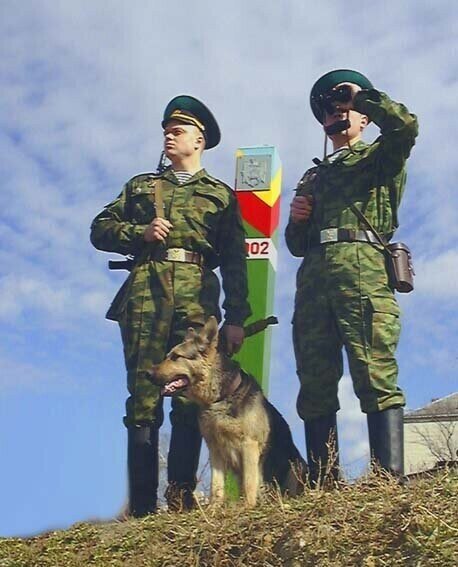 Пограничники на службе.