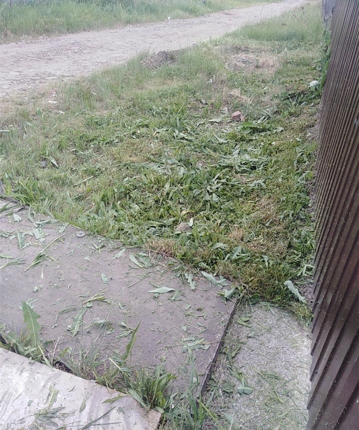 Вид с внешней стороны забора