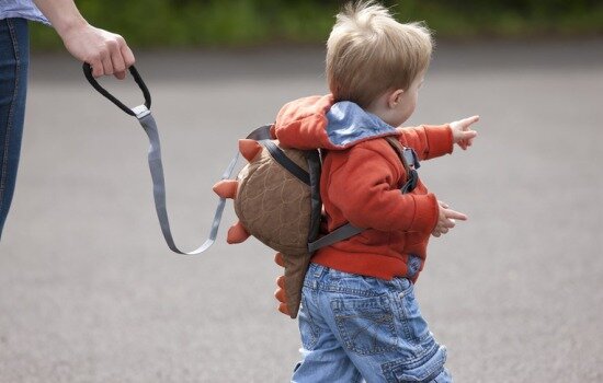 из открытый источников