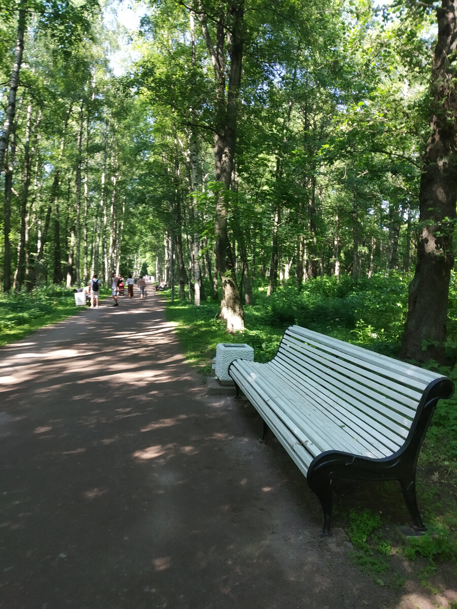 Парки и скверы Петербурга. Парк Дубки в Сестрорецке | Вокруг Да около | Дзен