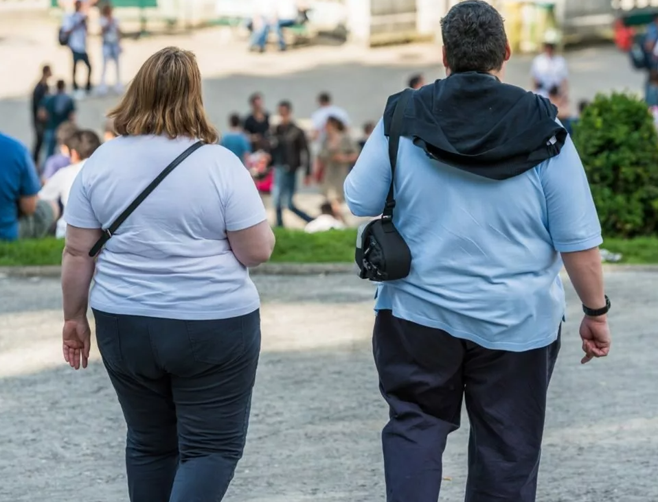 скриншот автора