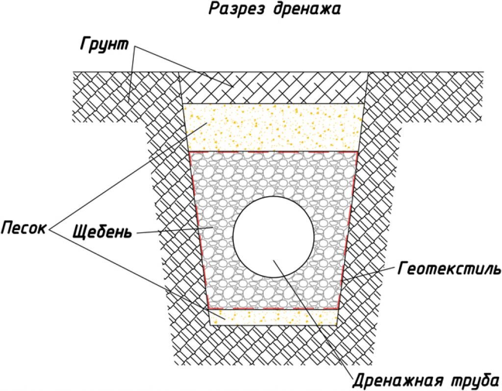 Фото из сети.