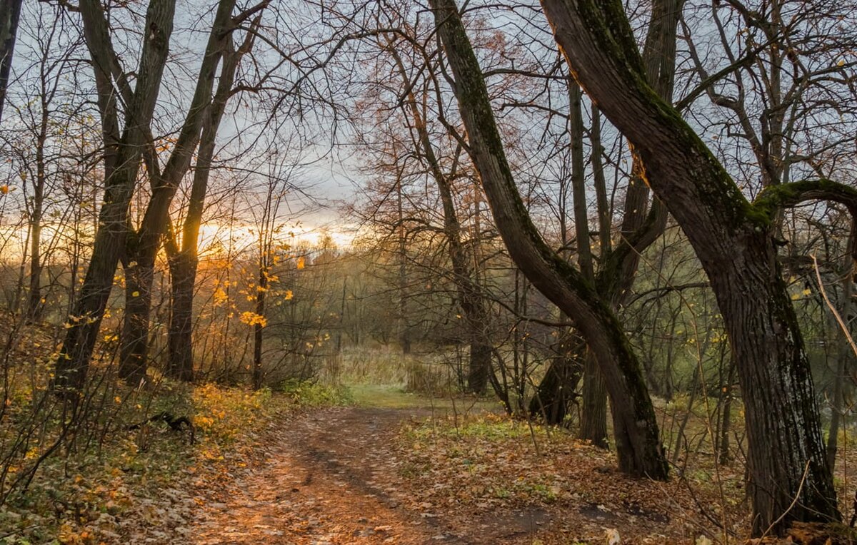 Сенница Озеры