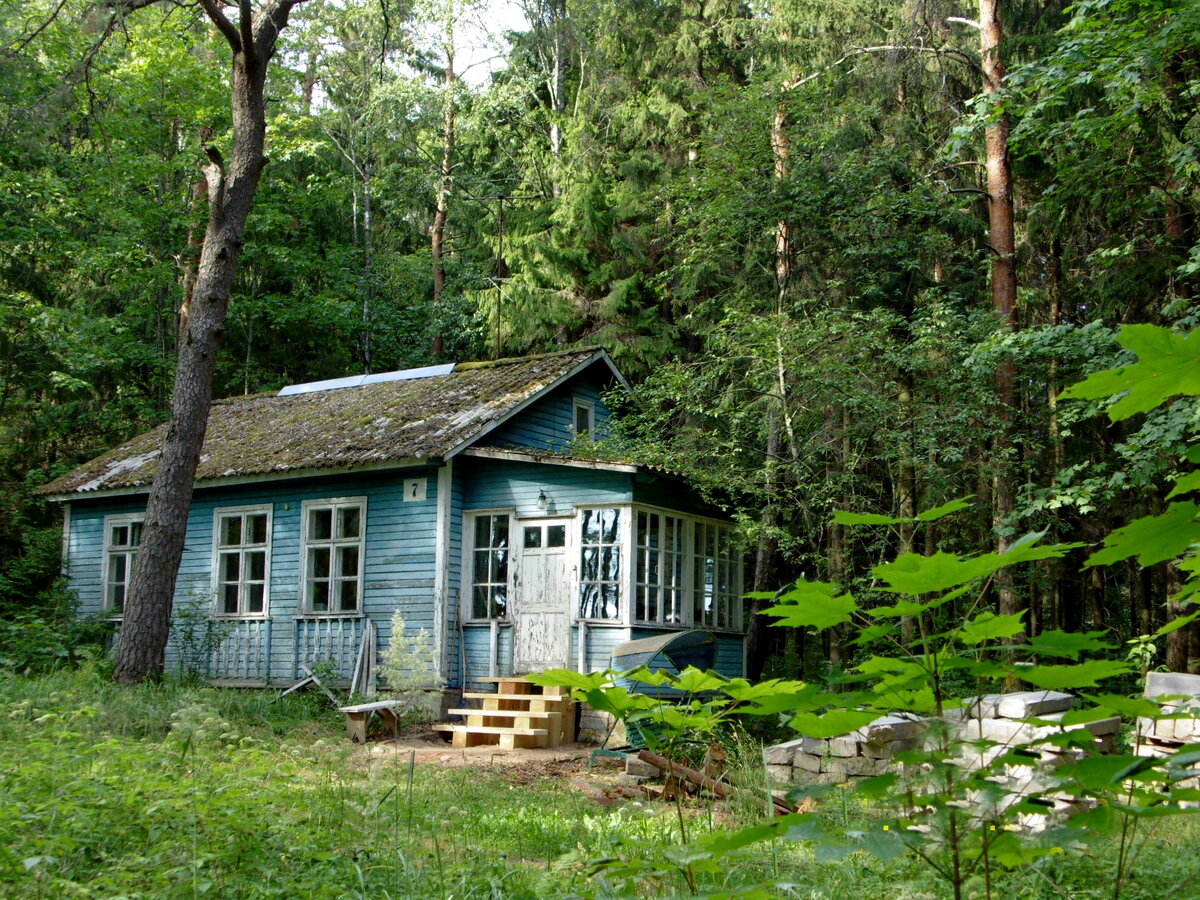 Вот таких дачек в Комарово - хоть пруд пруди! Фото автора
