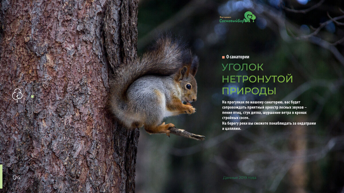 Санаторий в Сосновом Бору