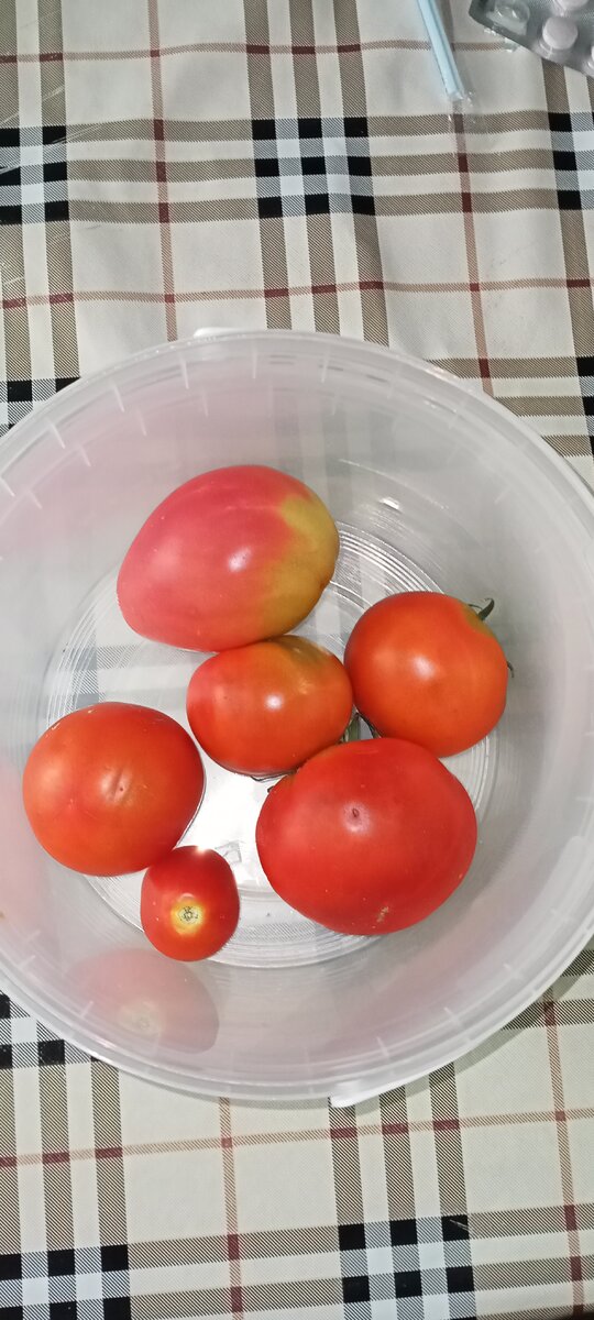Первая самая вкусная