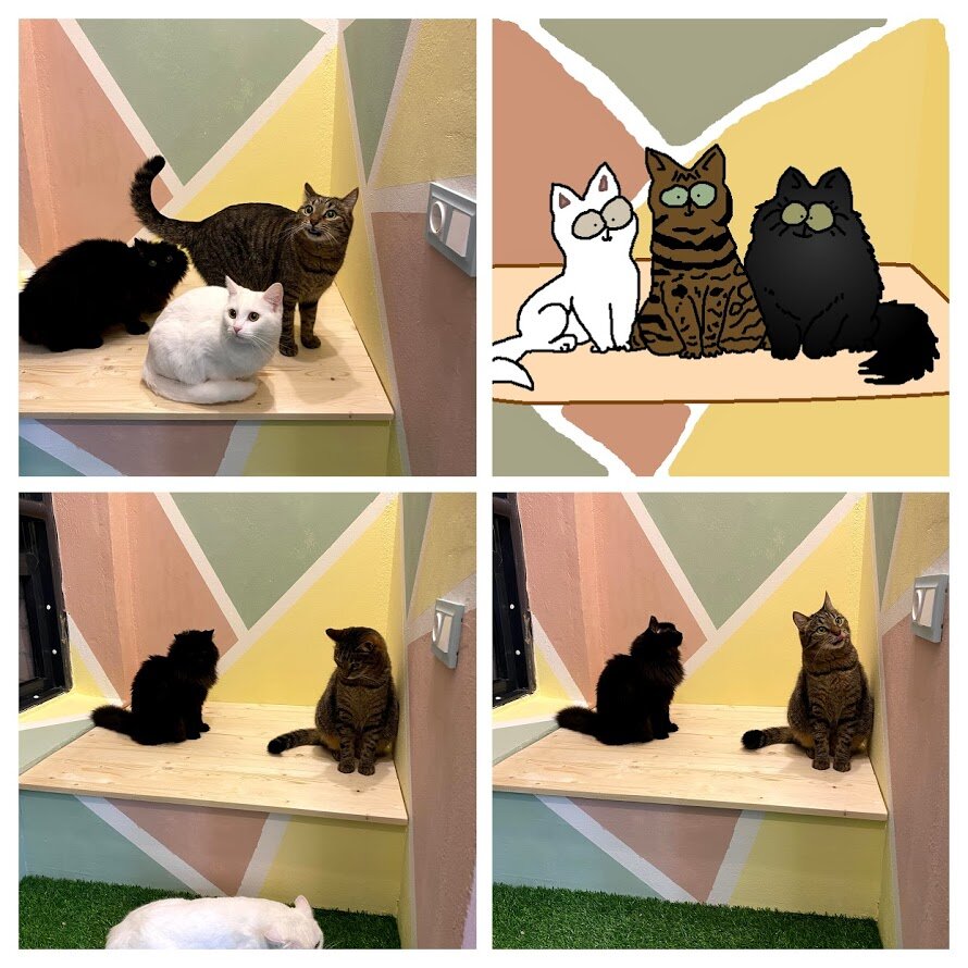 Когда то мне очень нравился мультик Simons's Cat и я стал рисовать похожих котов..)