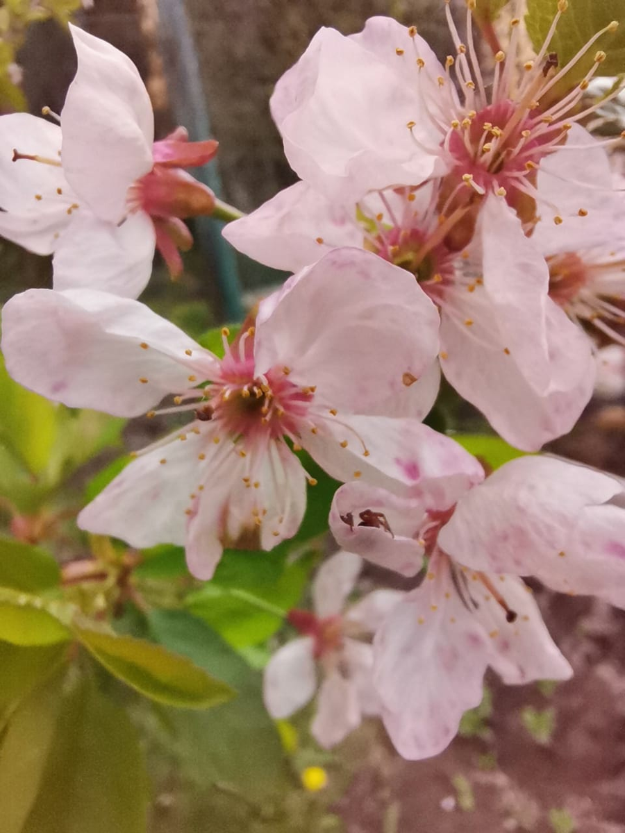 Фото взято из открытых источников 