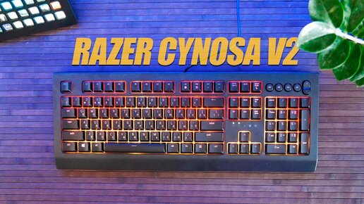 Razer Cynosa V2 - Обзор