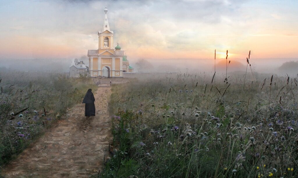 Фото взято из открытых источников