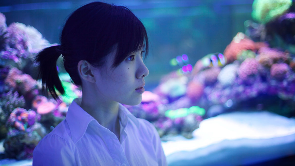 Кадр из фильма «Блоуфиш»