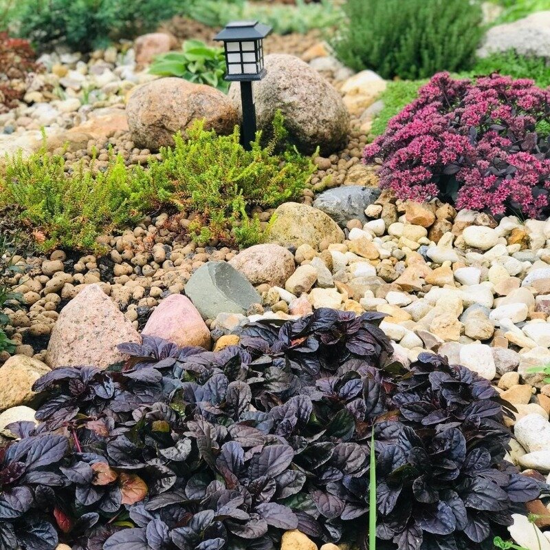 Источник фото https://www.instagram.com/p/CTuZnhdoKO5/