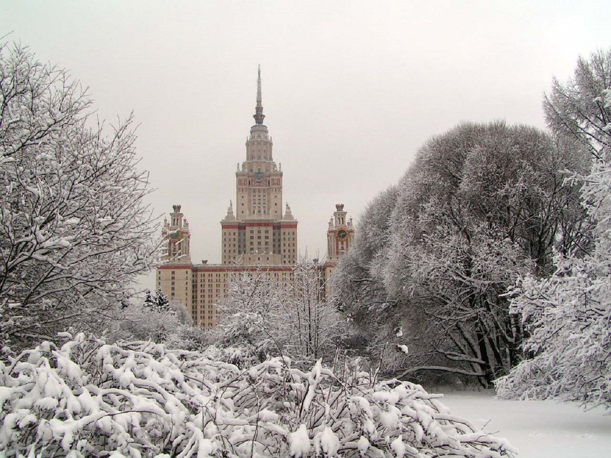 Яндекс.Картинки