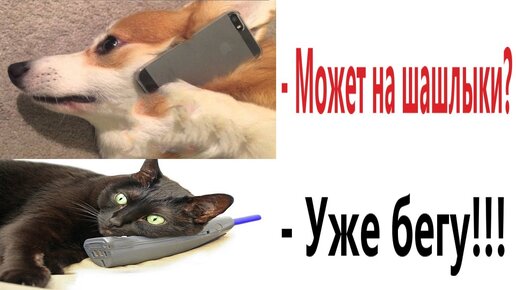 Приколы юмор