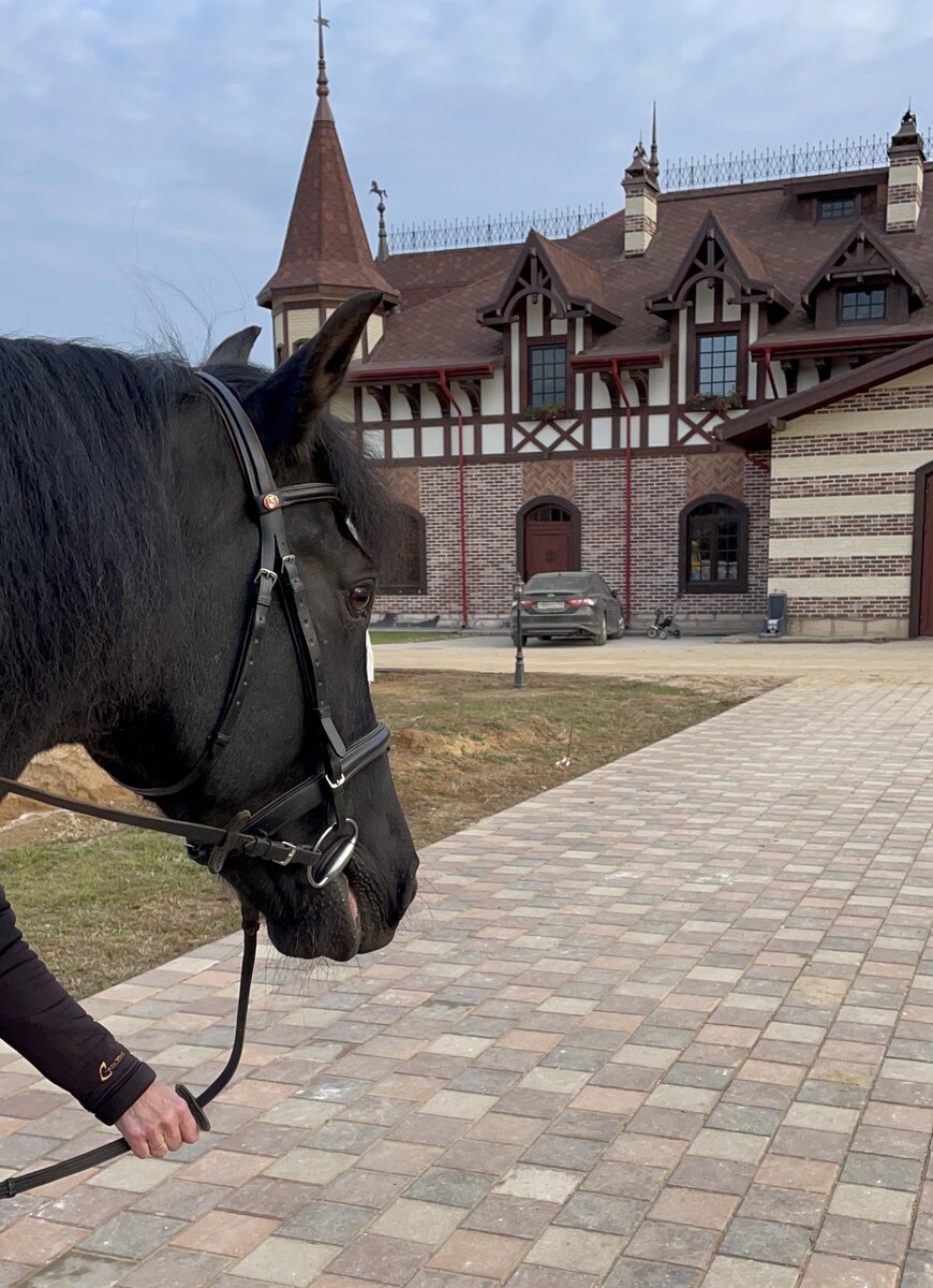 Как подойду ближе - непременно тяпнет. Вся в слюнях уже:)