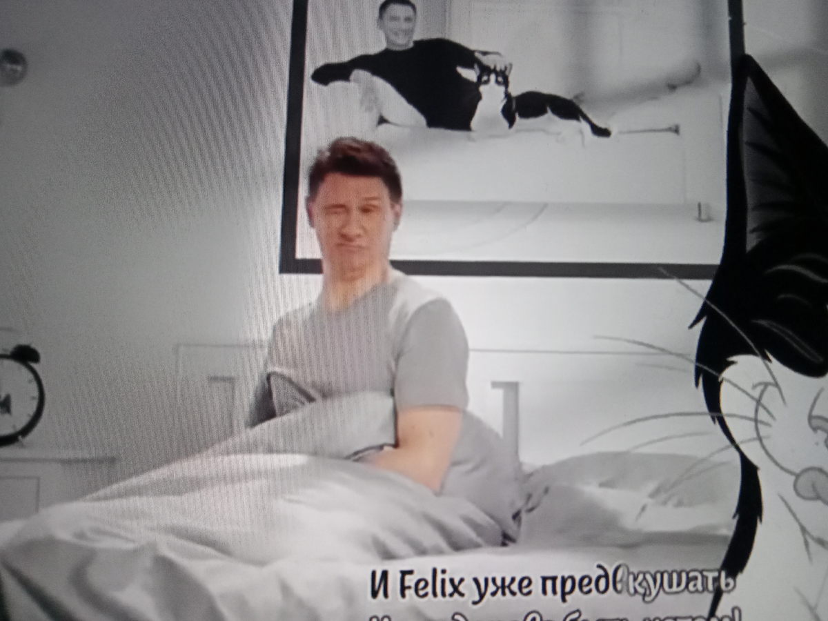 Фото автора. Сфотал планшет