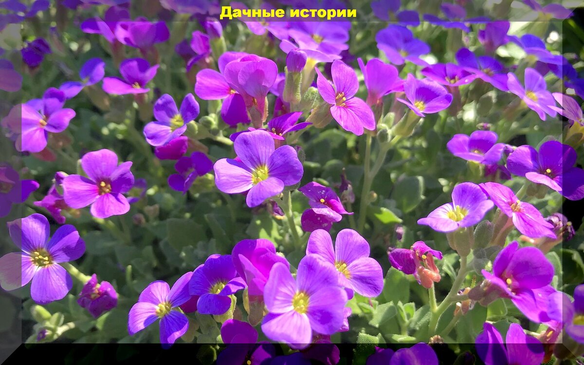 https://vk.com/photo-159774511_457251898