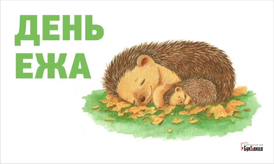 День ежа. Иллюстрация: Курьер.Среда