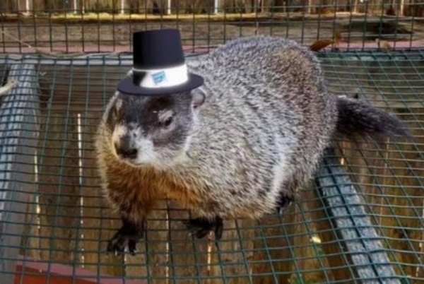 Источник фото: facebook.com/milltownmel