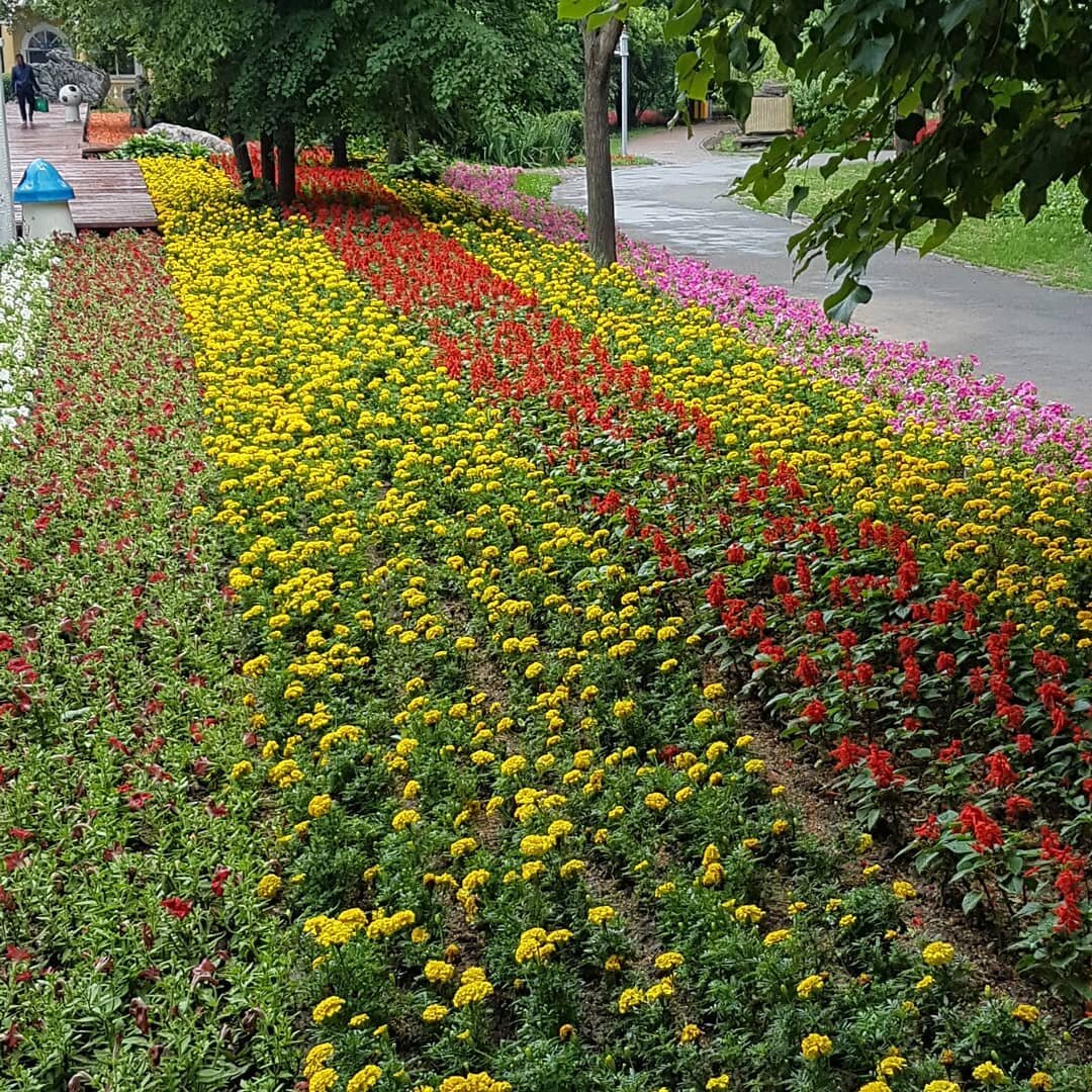 Ботанический сад