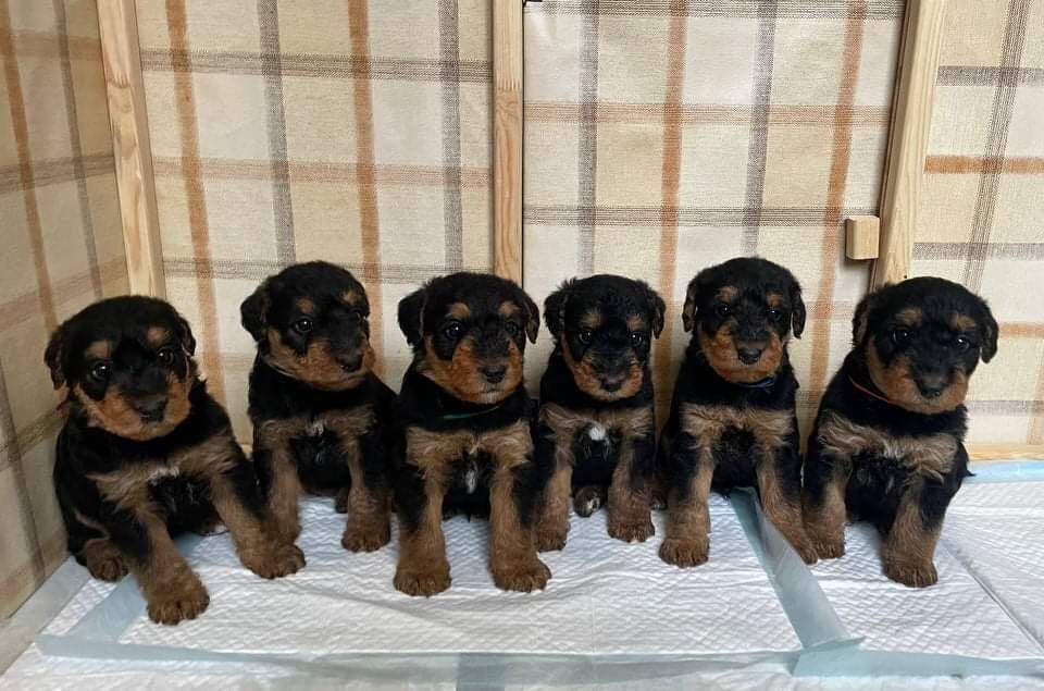 Нам уже месяц.