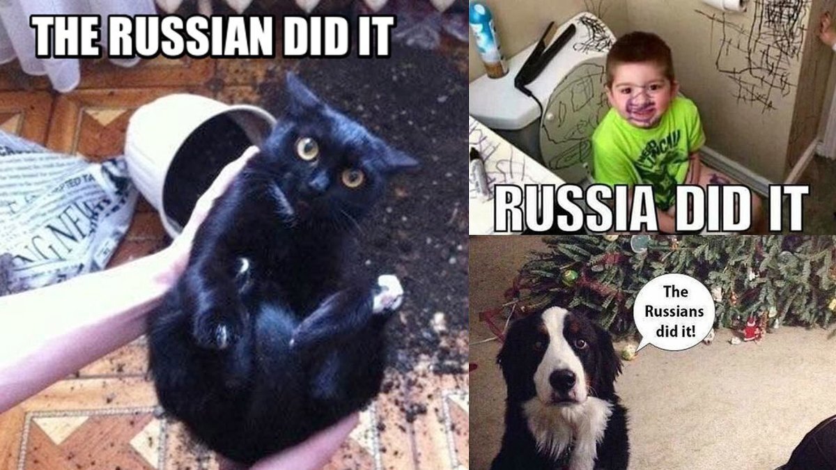 Яндекс. Картинки.