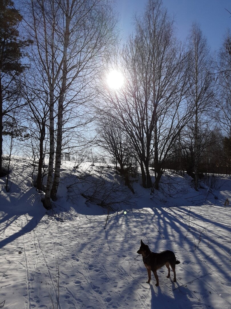 Овраг в деревне Меленки.