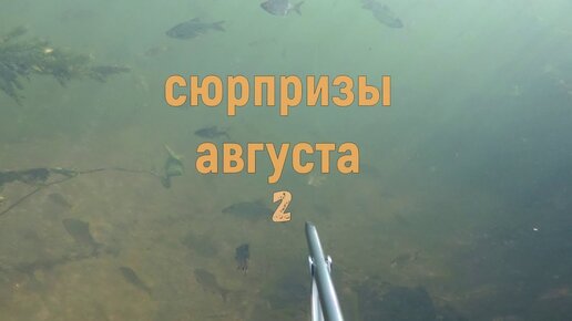 Подводная охота - Сюрпризы августа 2