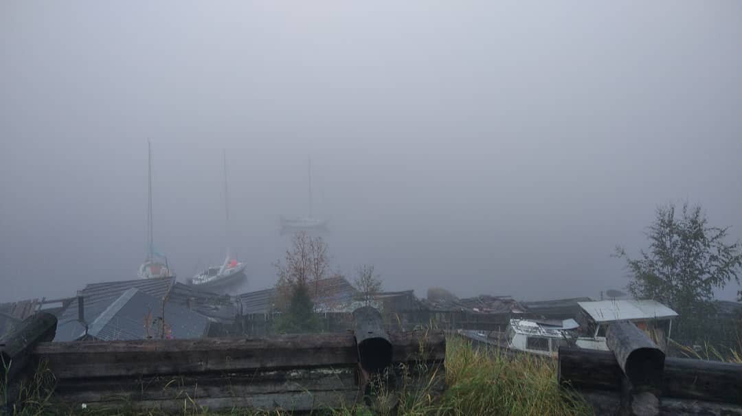 Вид сквозь туман на море