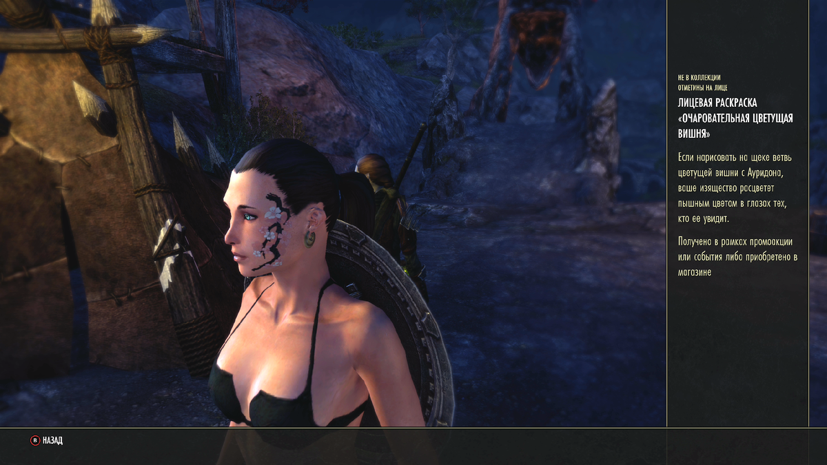 Очаровательная цветущая вишня