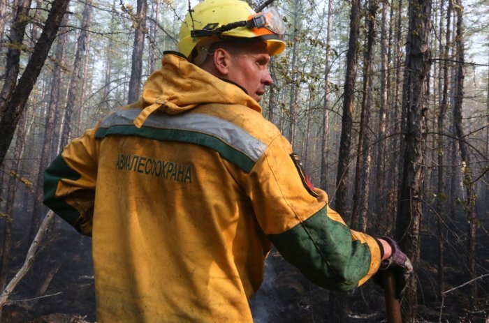 Фото: пресс-служба ФБУ «Авиалесоохрана»