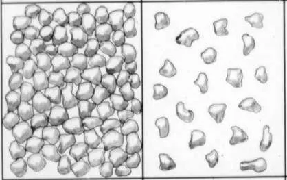 Плотность зерна на единицу площади