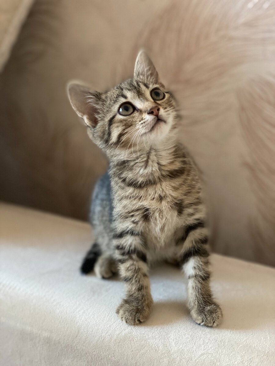 Наш Тимофей скоро поедет в новый дом