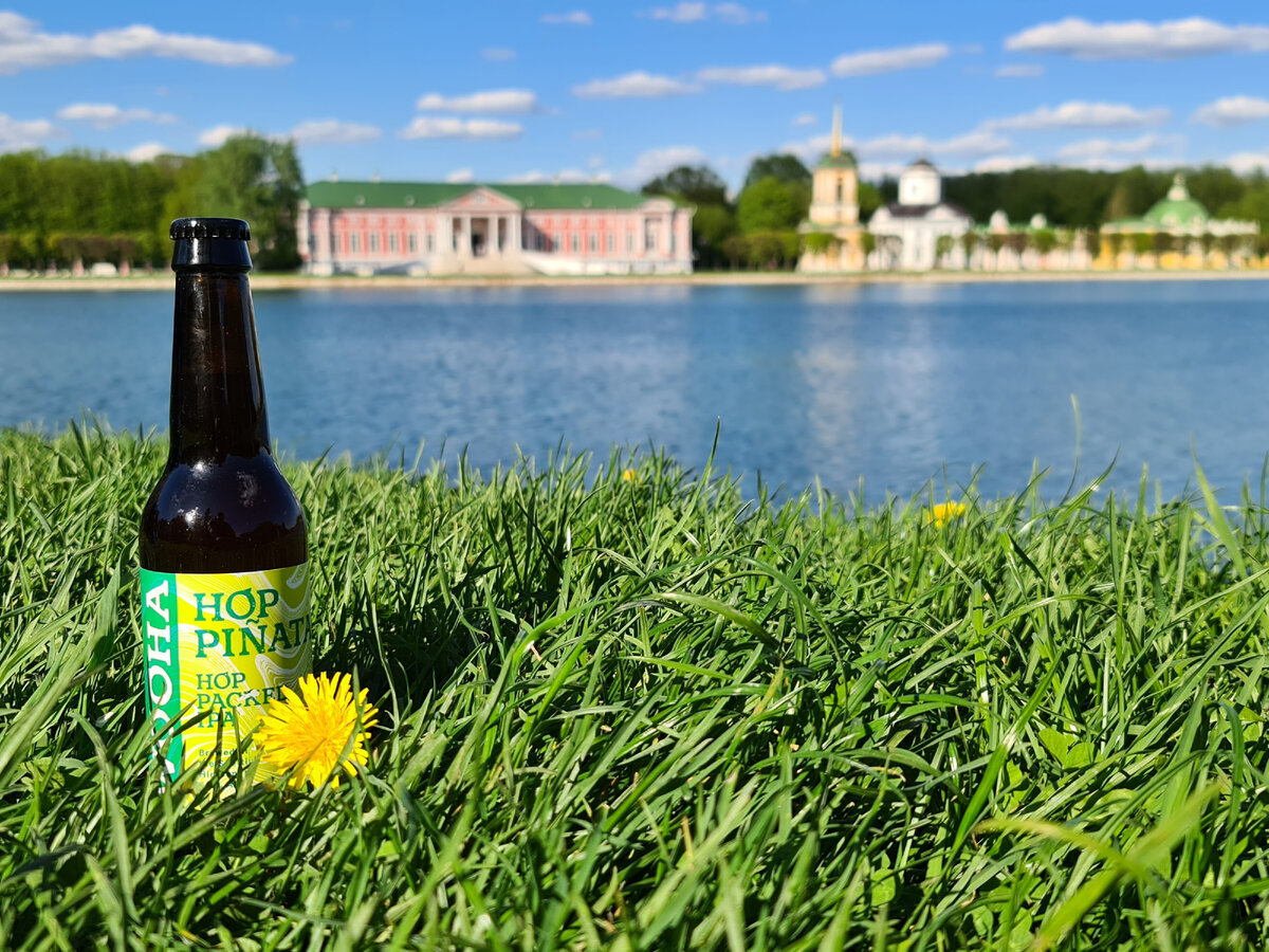 Wooha Hop Pinata IPA, фото автора