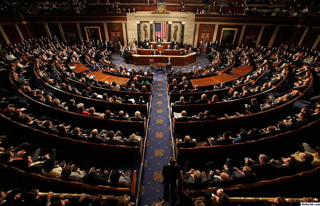 По сути выборщики являются прослойкой между государством и народом, позволяя тем самым представлять их интересы 