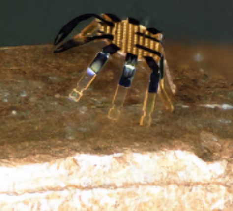 Будучи выпущенным из специального 3D-принтера, этот дистанционно управляемый образец активируется с помощью лазера. 

