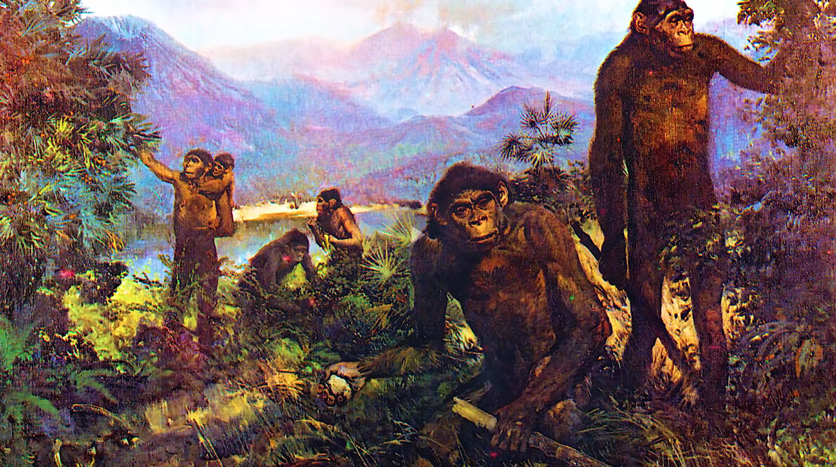 Изображение взято из открытого источника 