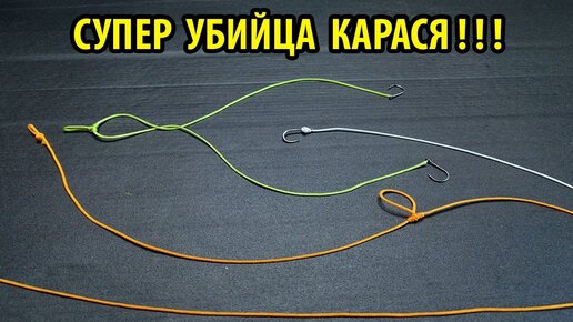 Убийца карася