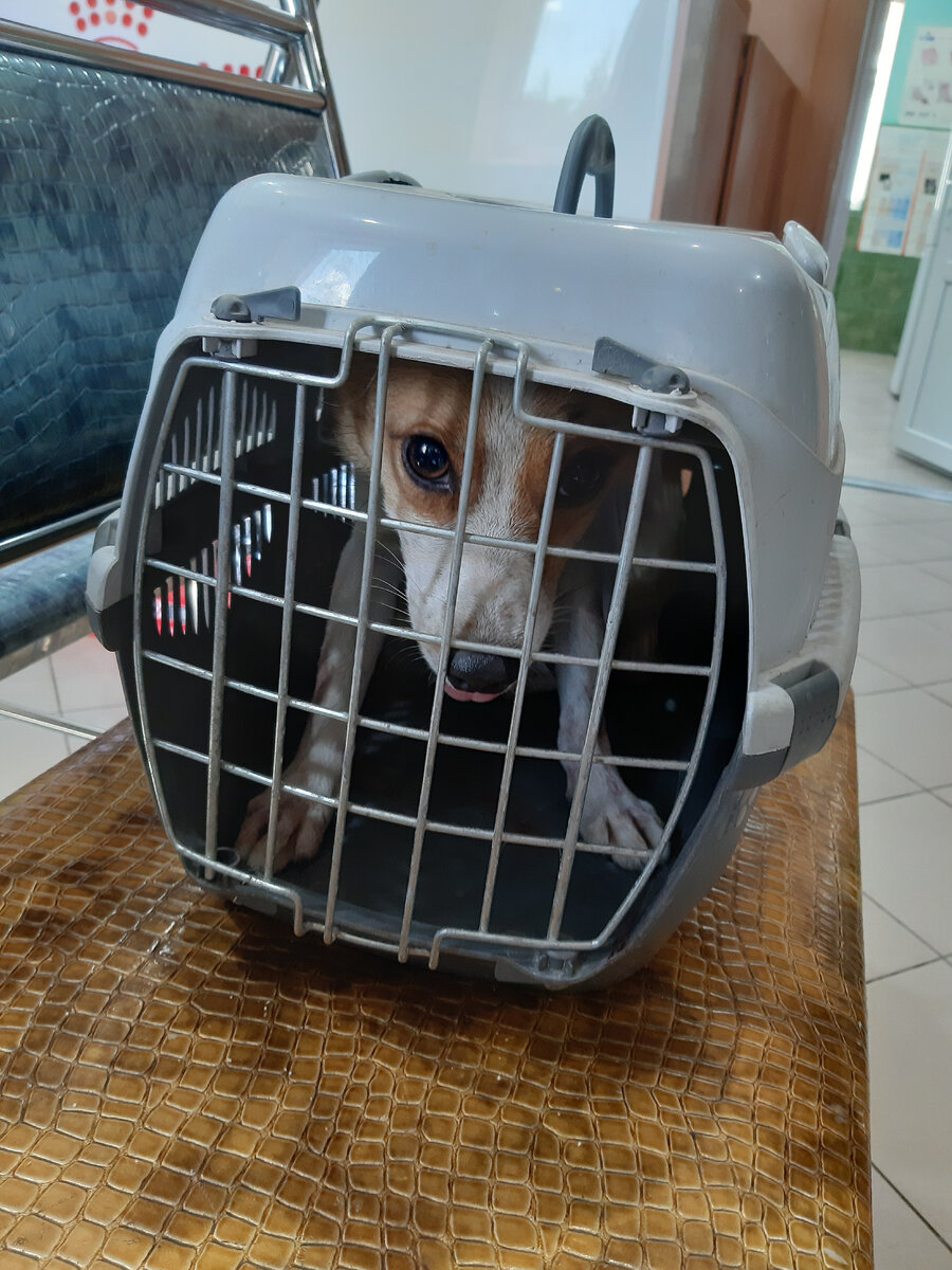 Приехали в клинику 