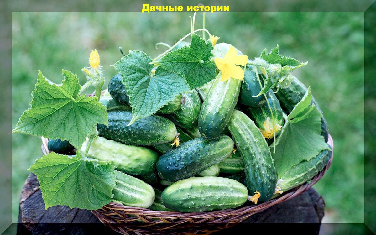 https://vk.com/photo-159774511_457254296