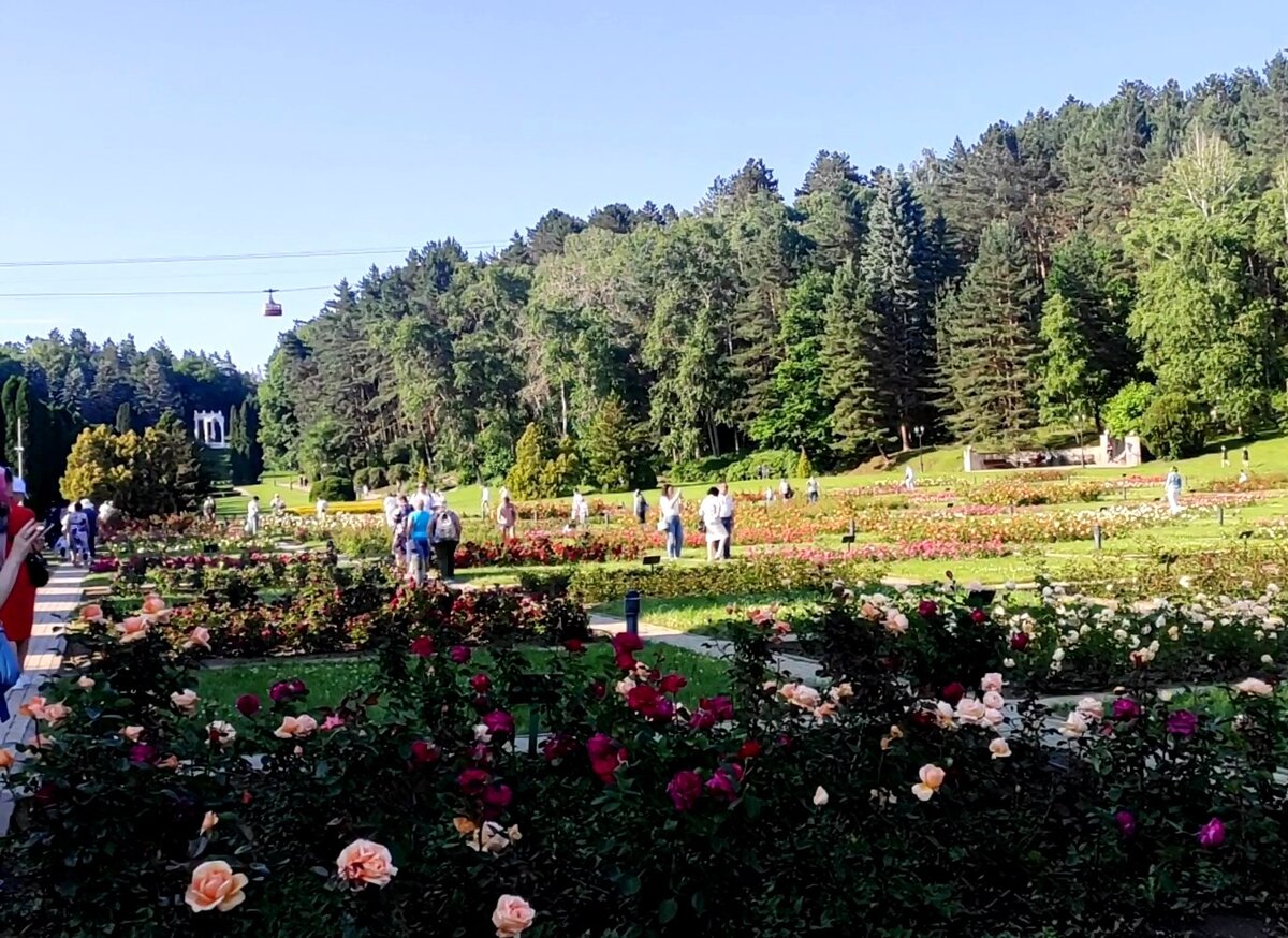 Долина Роз.