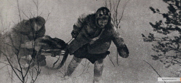 "Дикая собака динго", 1962, СССР