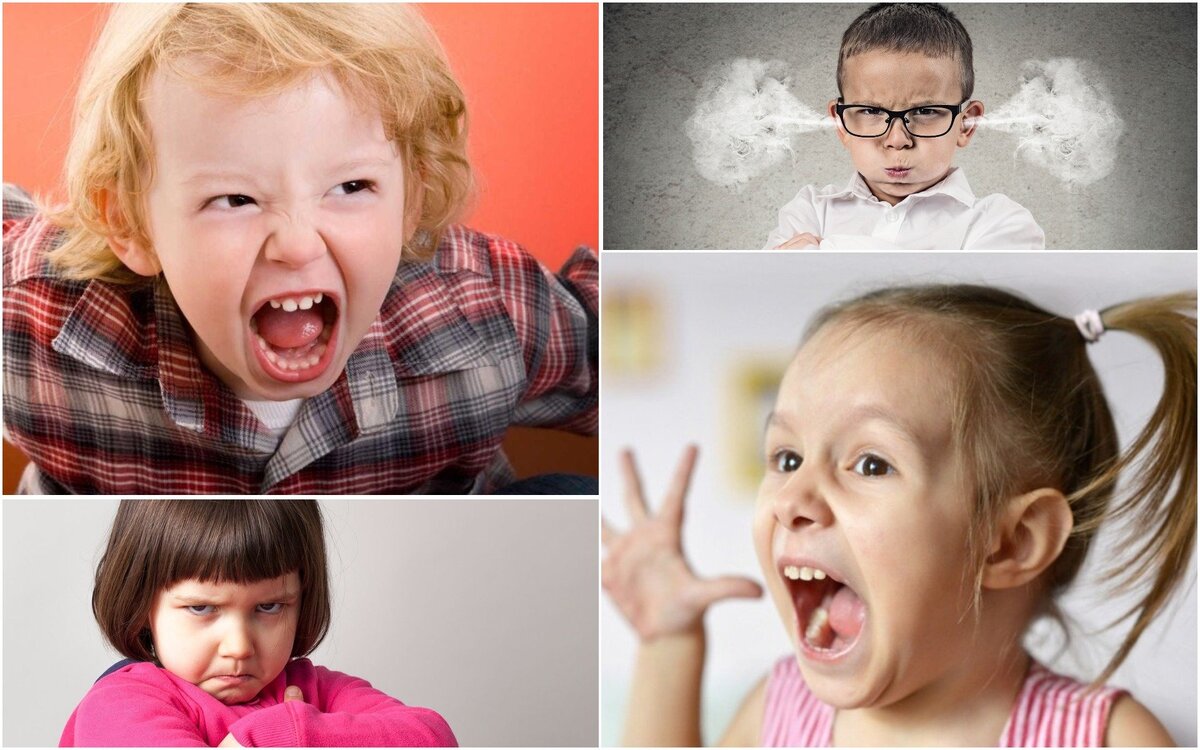 Изображение из  сети Интернет