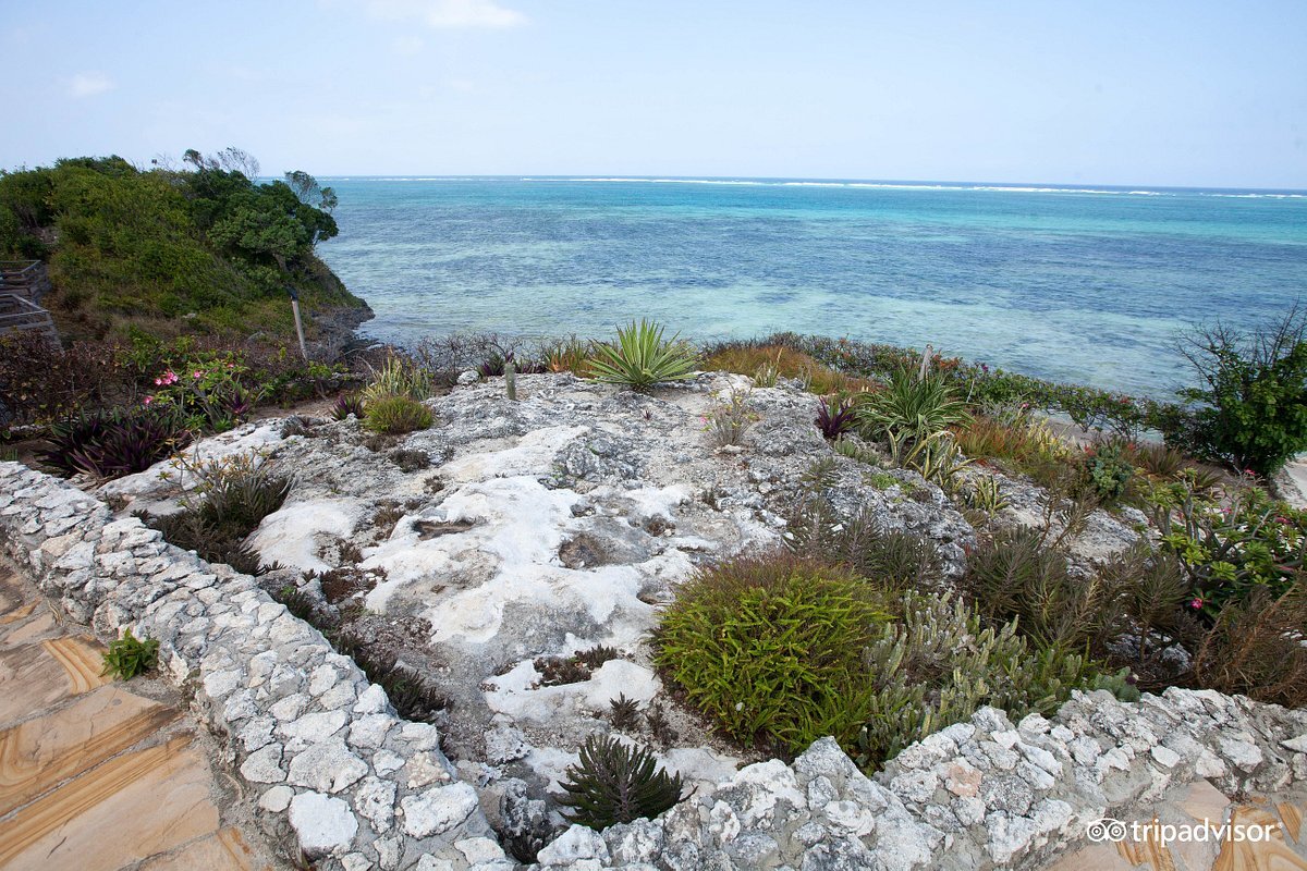 Фотография с сайта www.tripadvisor.ru